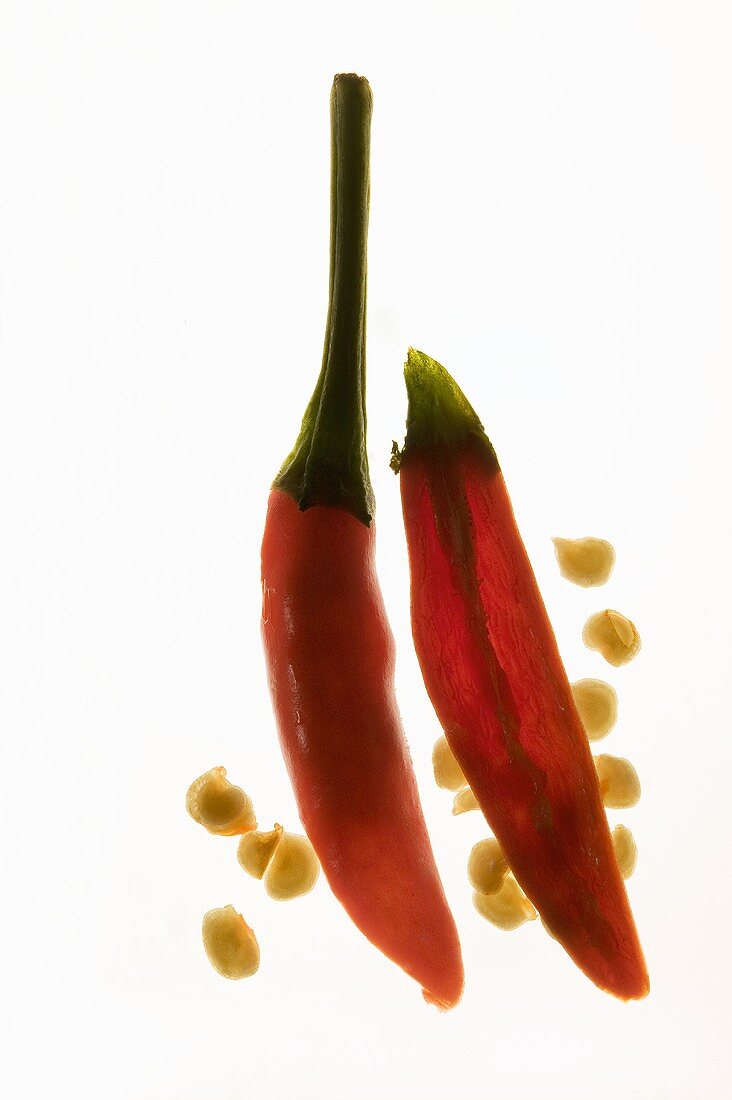 Two chili peppers, backlit
