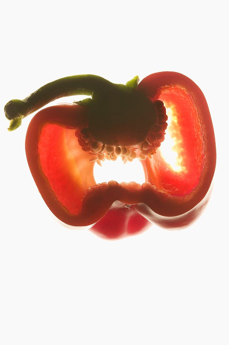Red pepper, backlit