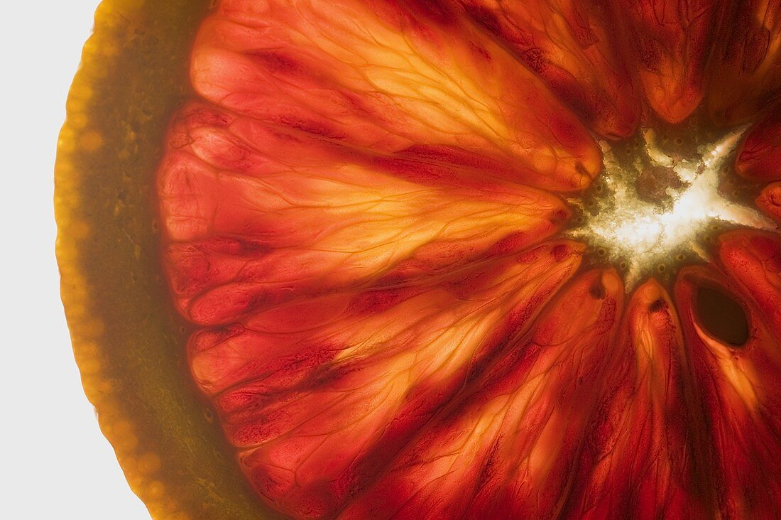 Pink grapefruit, back-lit