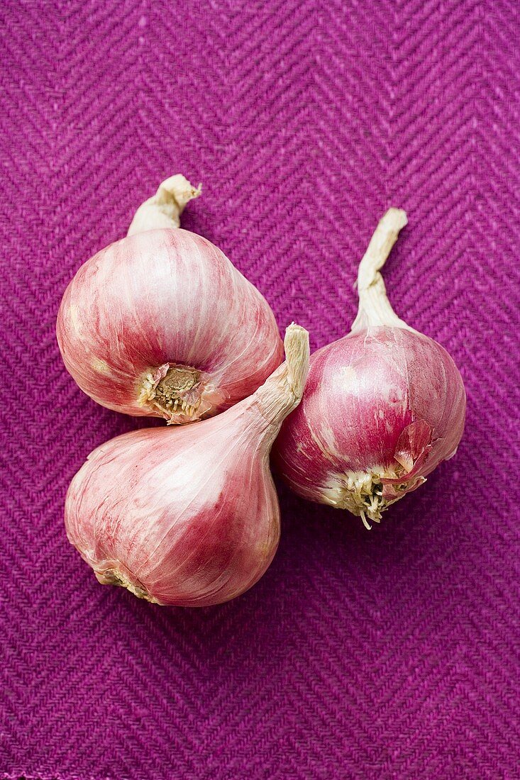 Three red onions on purple background