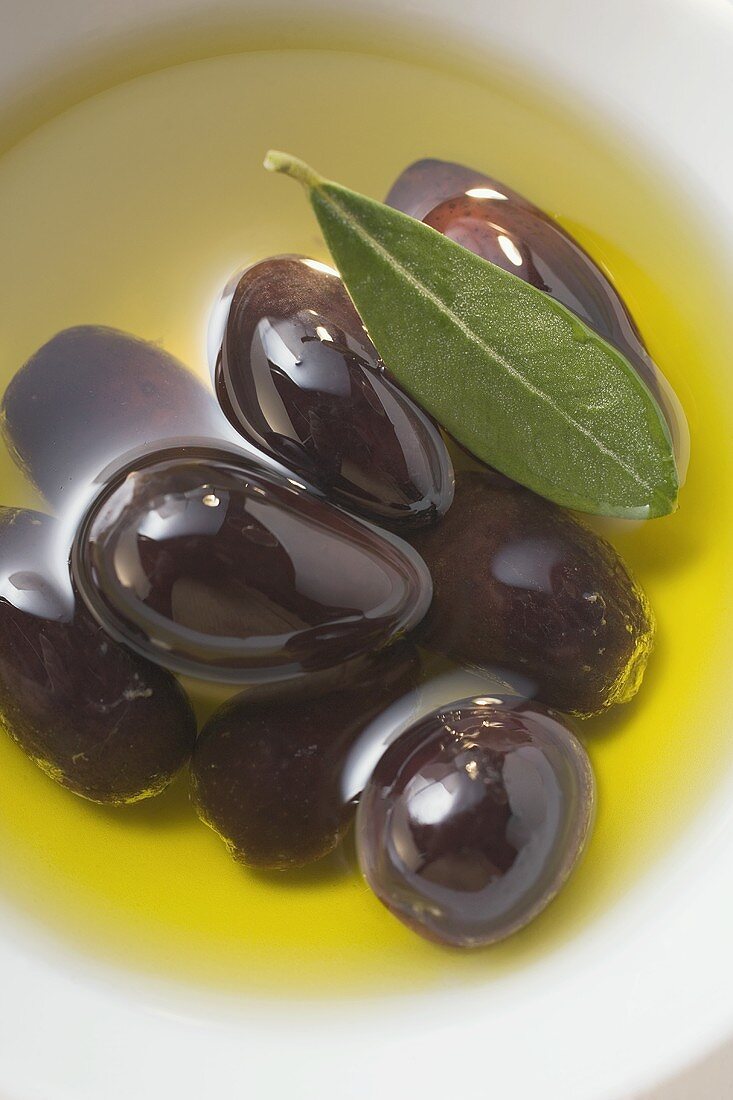 Olive oil, black olives and olive leaf in bowl