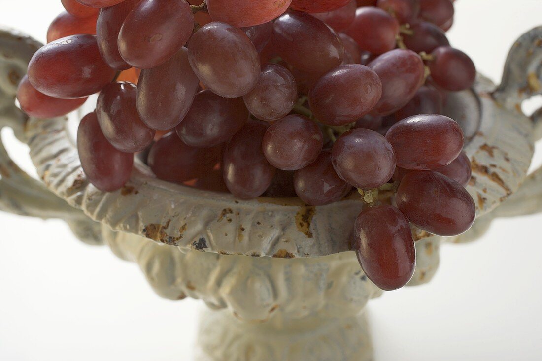 Red grapes in an urn