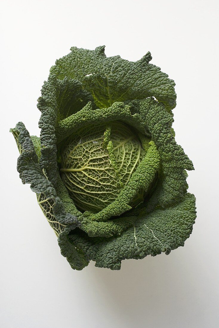 Savoy cabbage