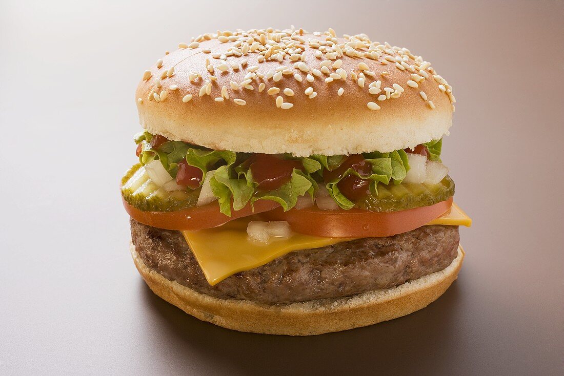 Cheeseburger with tomato, gherkins, onions, ketchup