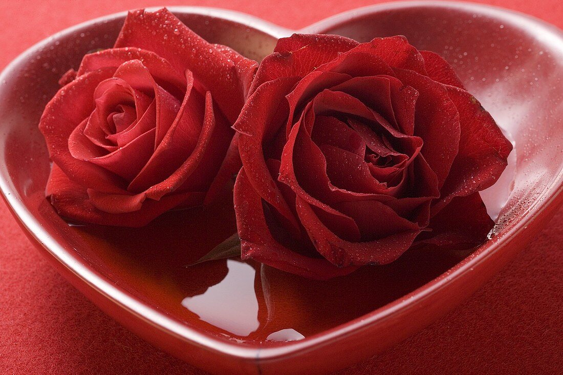 Red roses in heart-shaped bowl