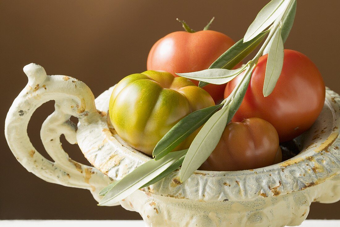 Frische Tomaten in Schale mit Olivenzweig