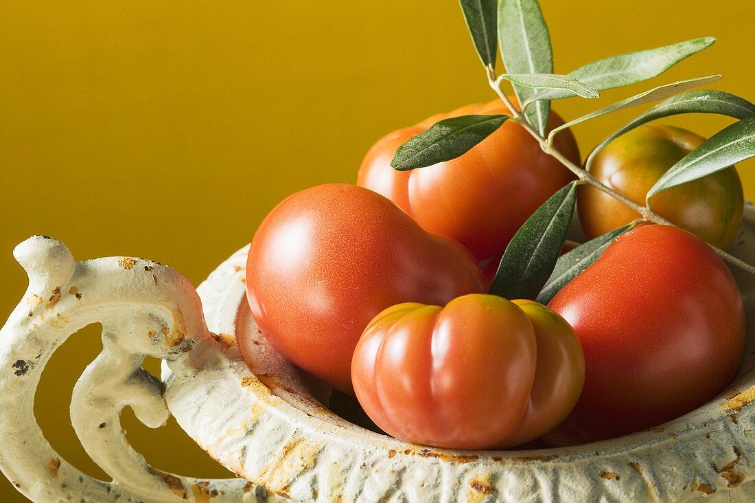 Frische Tomaten in Schale mit Olivenzweig