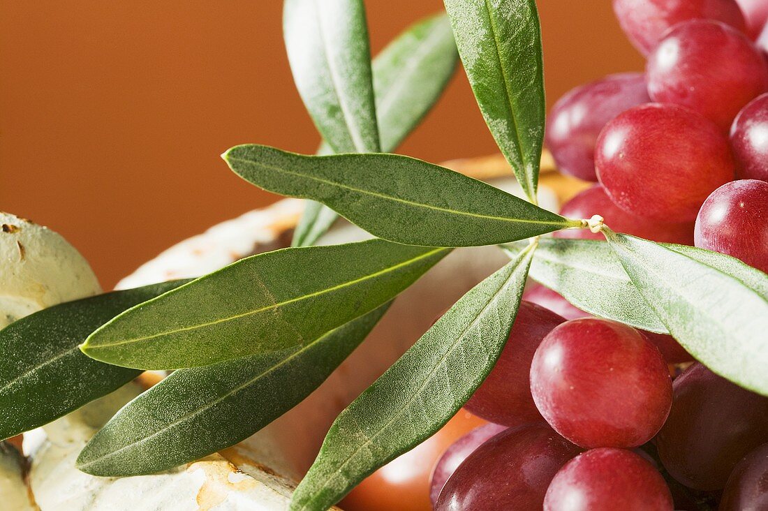 Red grapes with olive branch in bowl