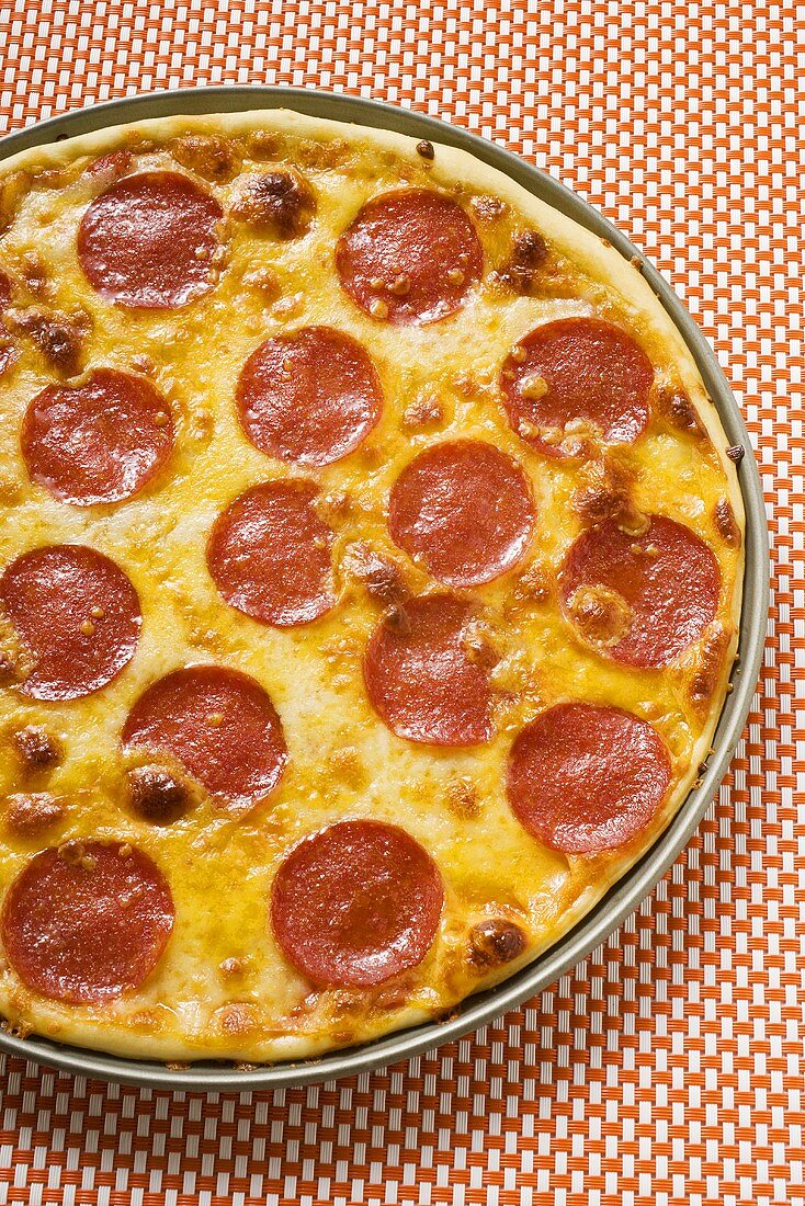 Salami and cheese pizza