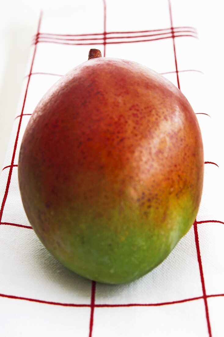Mango auf Geschirrtuch