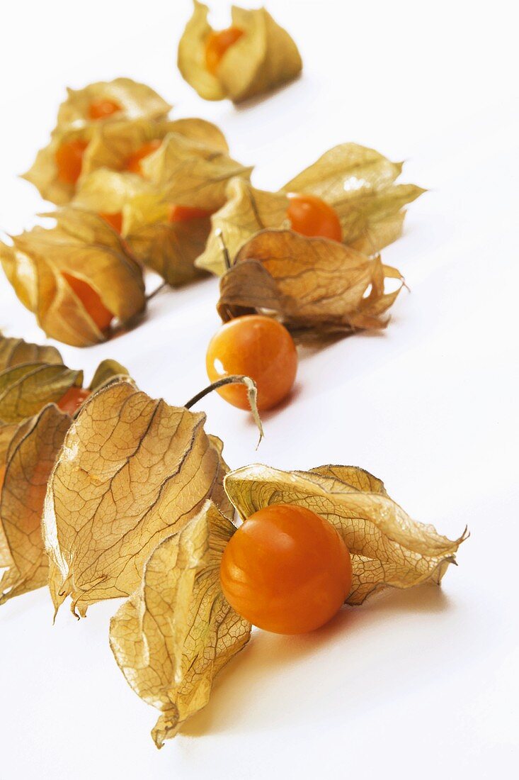 Physalis mit Hüllen