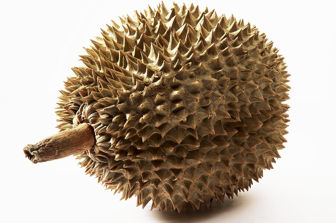 Ganze Durian