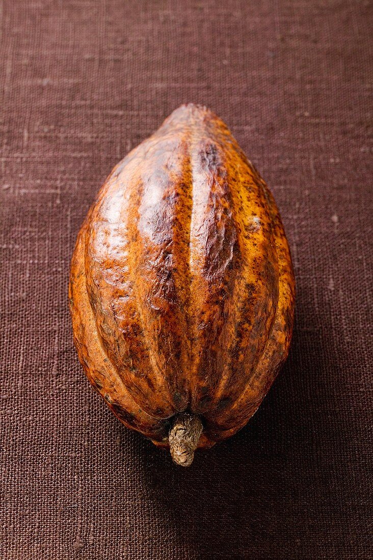 Kakaofrucht auf braunem Untergrund