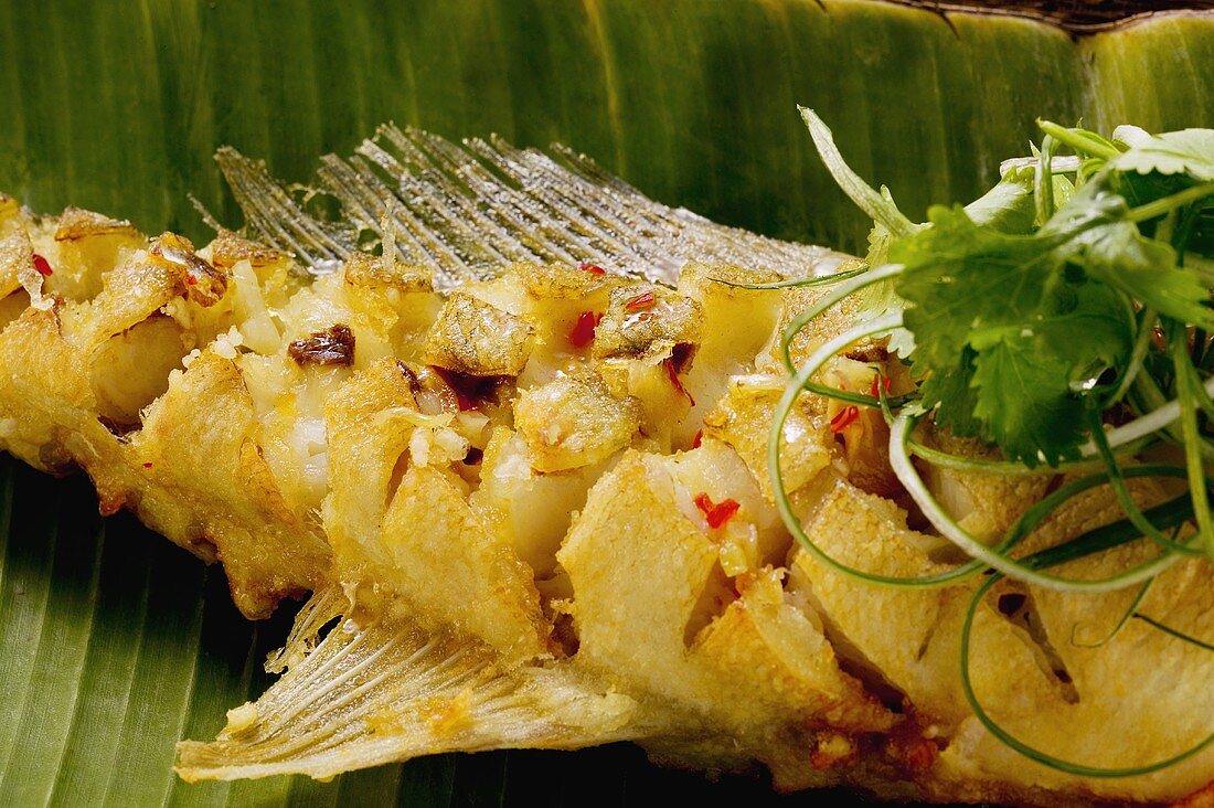 Fried zander on banana leaf (Indonesia)