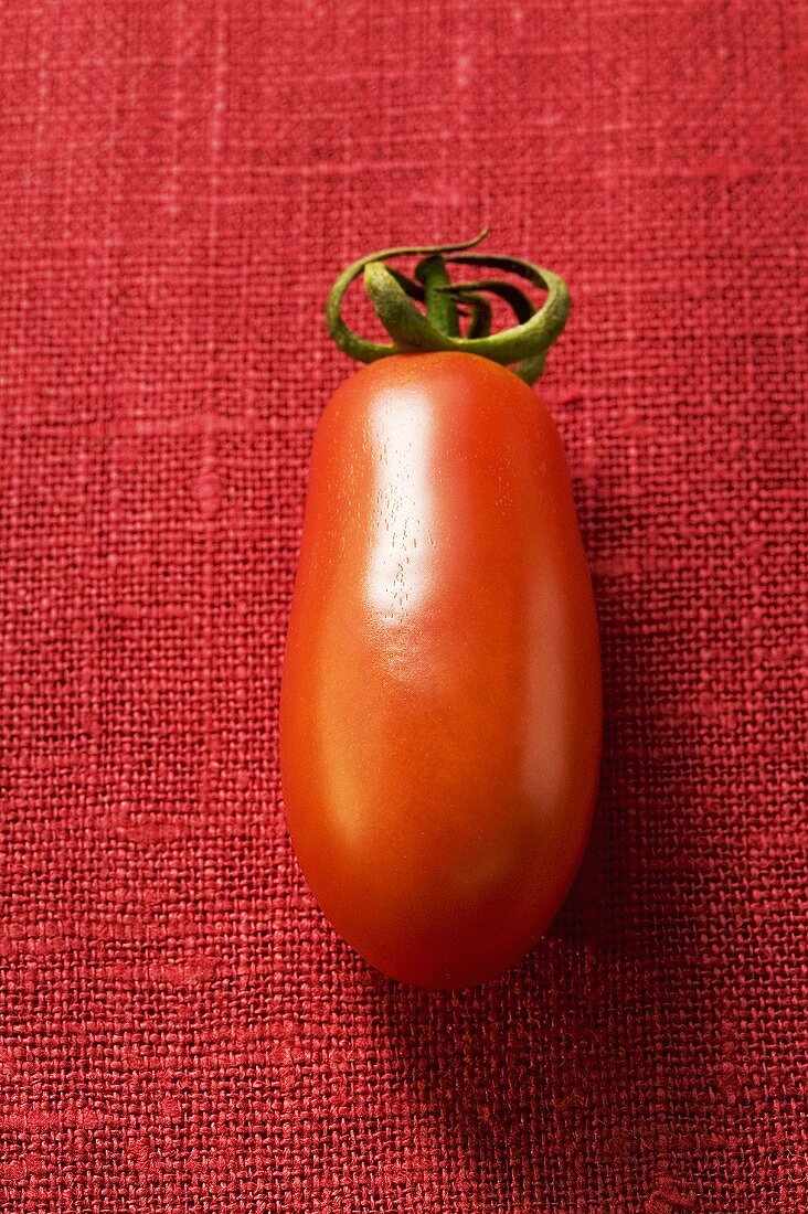 A grape tomato on red background