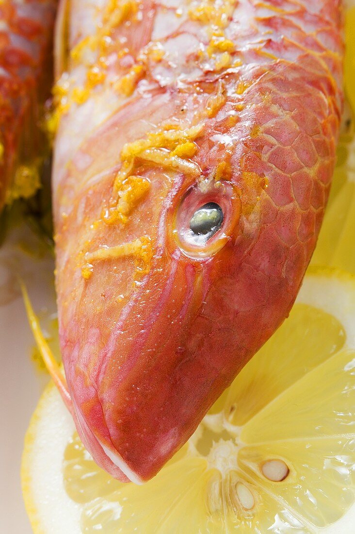 Red mullet with lemon sauce (close-up)