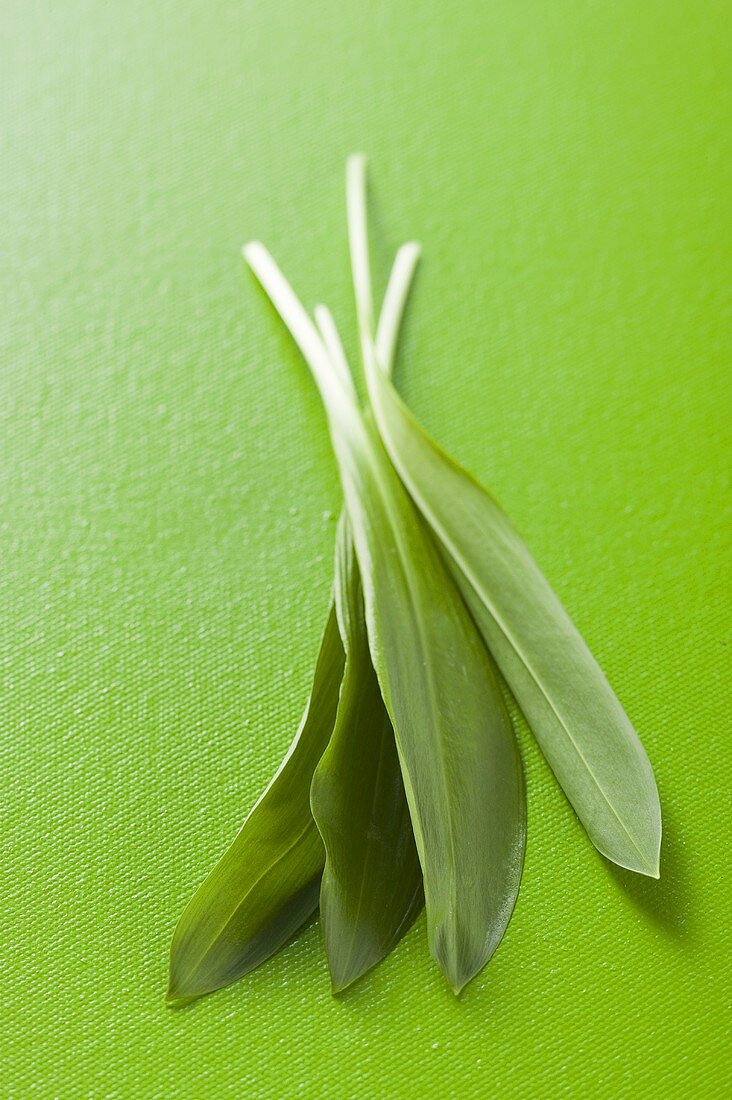 Fresh ramsons (wild garlic) on green background