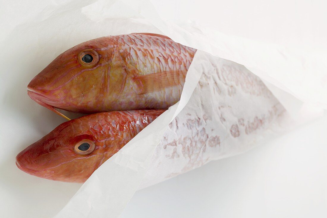 Fresh red mullet in wrapping paper