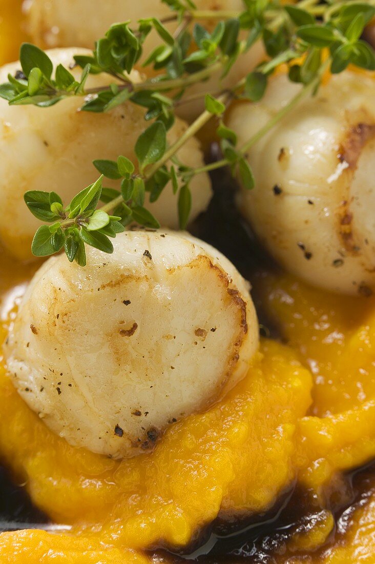 Scallops with pumpkin and thyme (close-up)