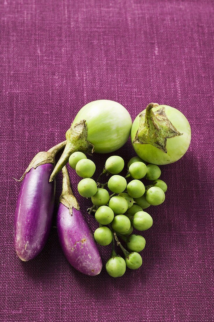 Various types of aubergines on purple background