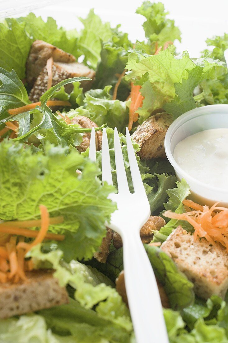 Salad leaves with carrots, croutons & sour cream dressing