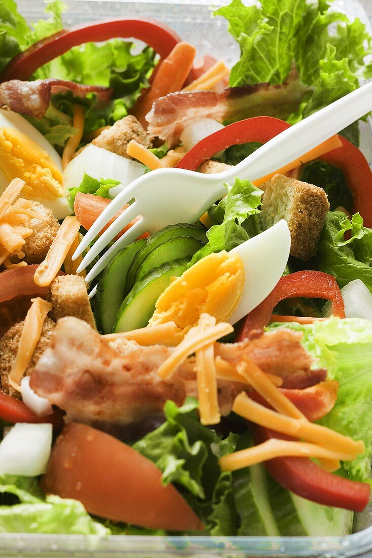 Blattsalat mit Gemüse, Ei, Käse und Bacon zum Mitnehmen