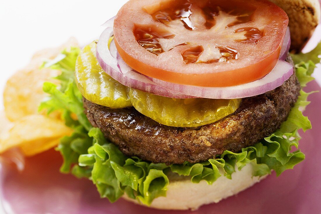 Home-made hamburger with gherkins, onions, tomato