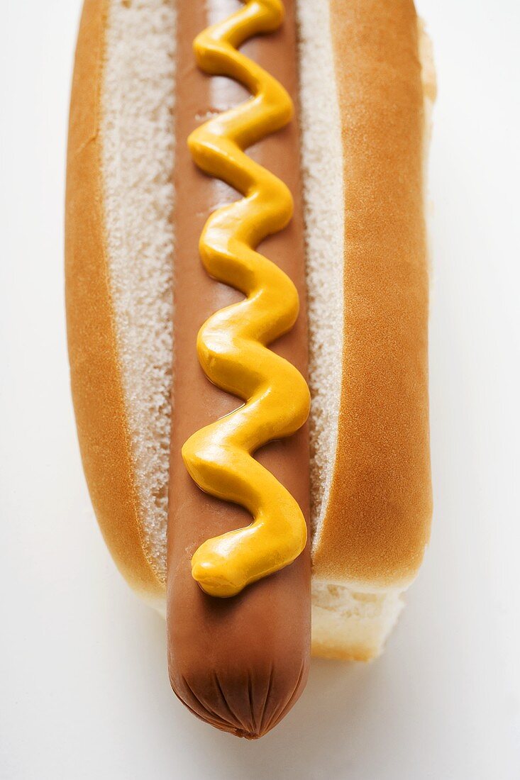 Hot dog with mustard