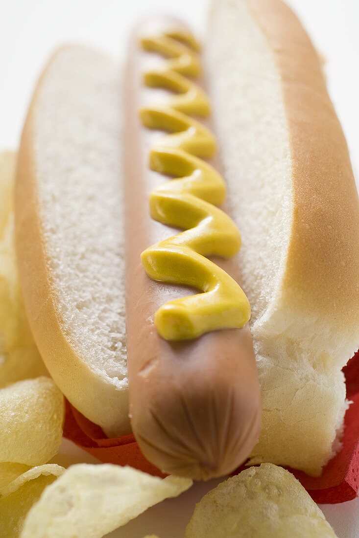 Hot dog with mustard and potato crisps