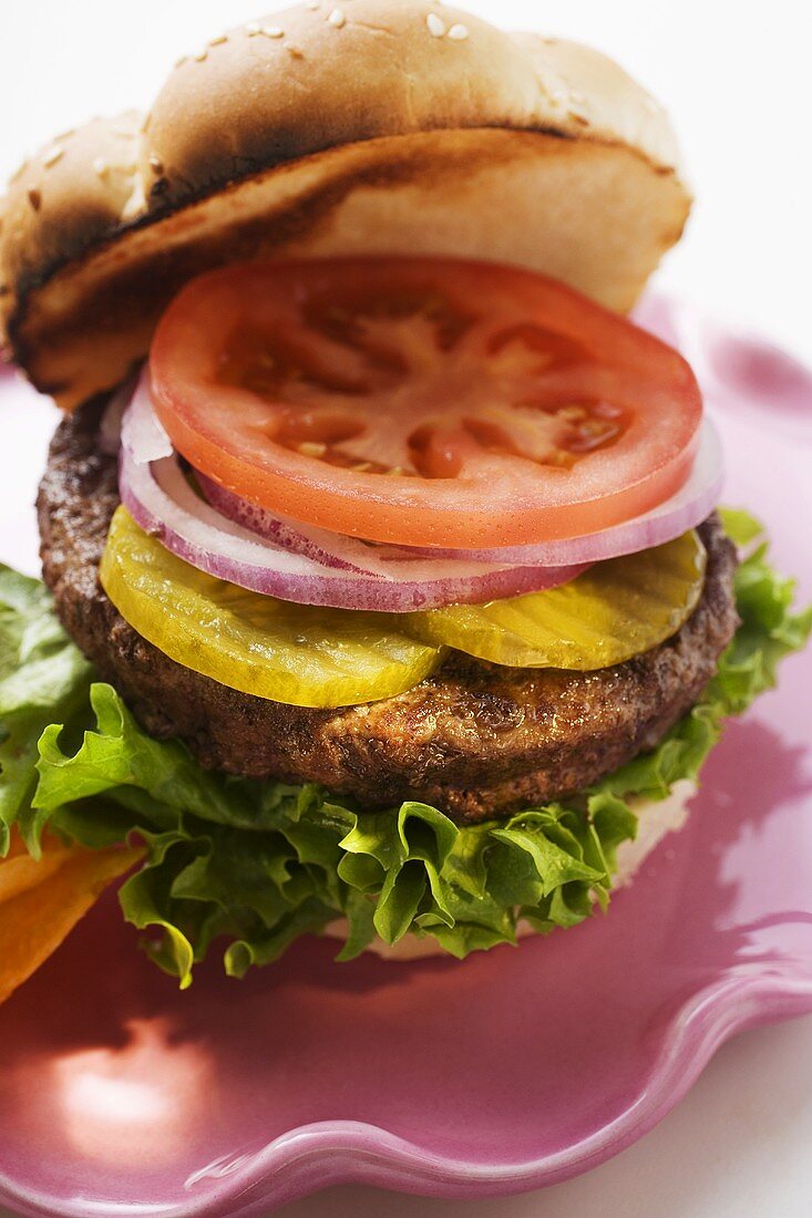 Home-made hamburger with gherkins, onions, tomato