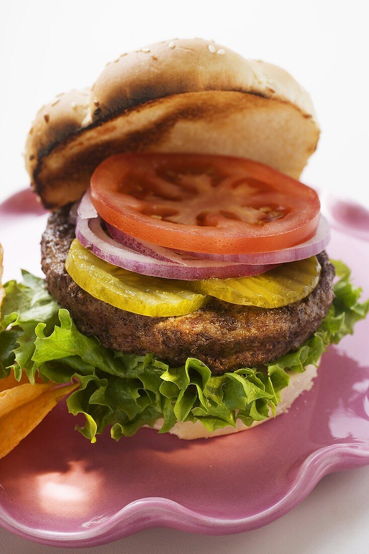 Home-made hamburger with gherkins, onions, tomato