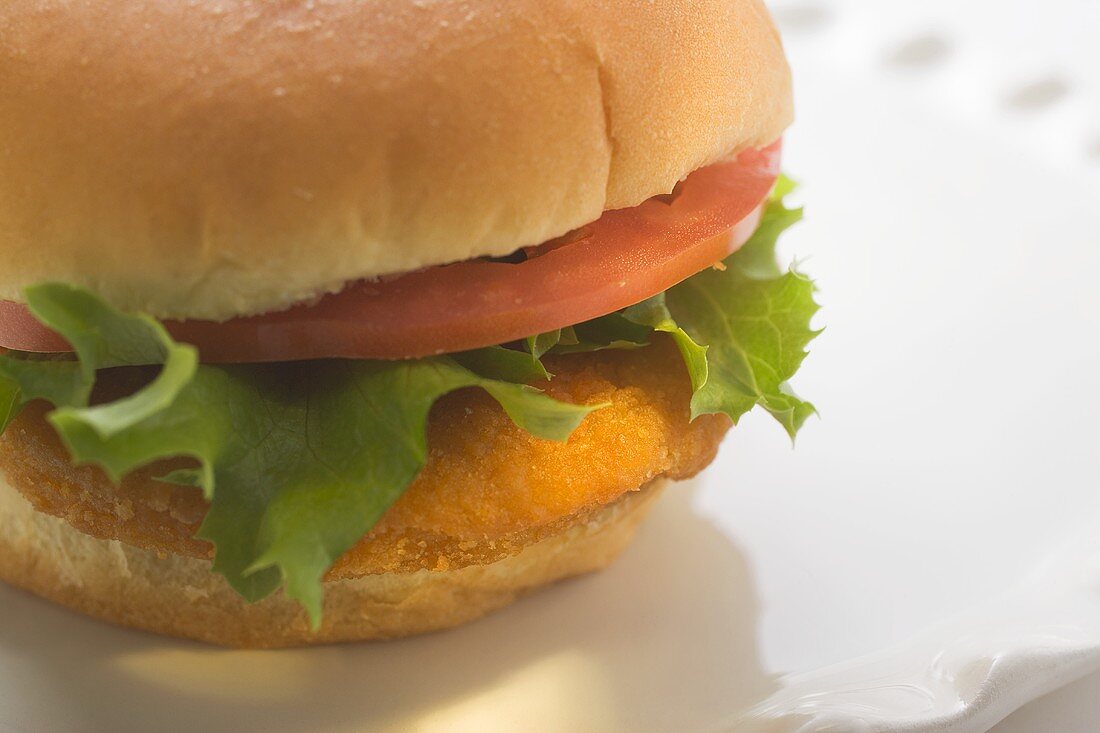 Chicken burger with tomato and lettuce