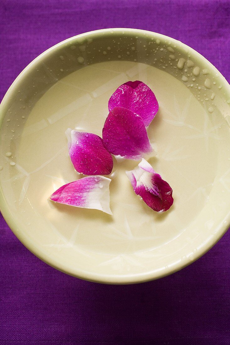Purple orchid petals in bowl of water