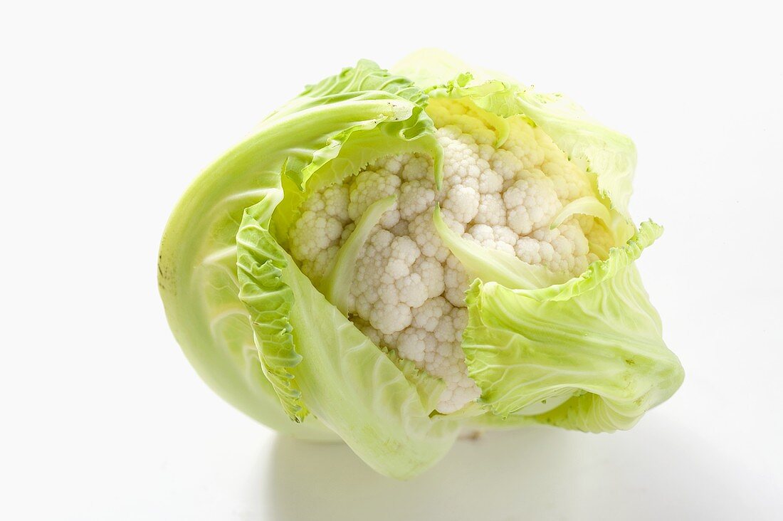 Baby cauliflower (Asia)