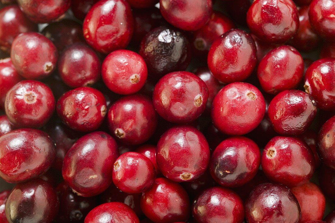 Cranberries (bildfüllend)