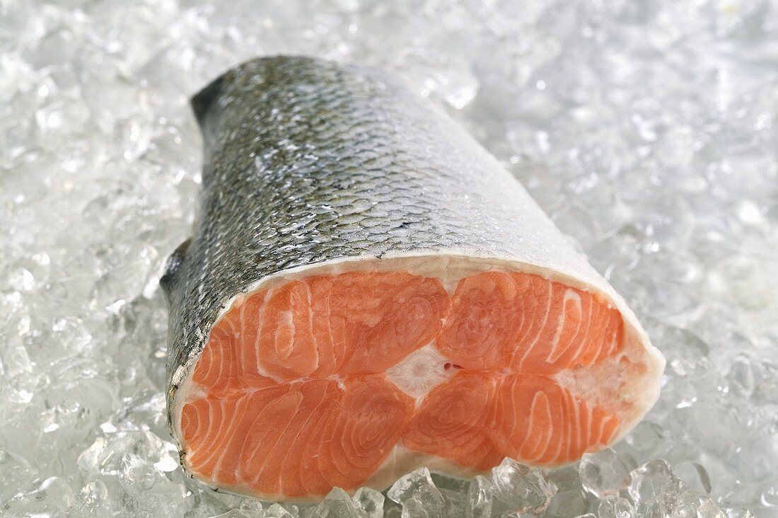 Piece of salmon on ice