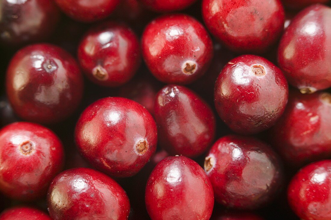 Cranberries (bildfüllend)