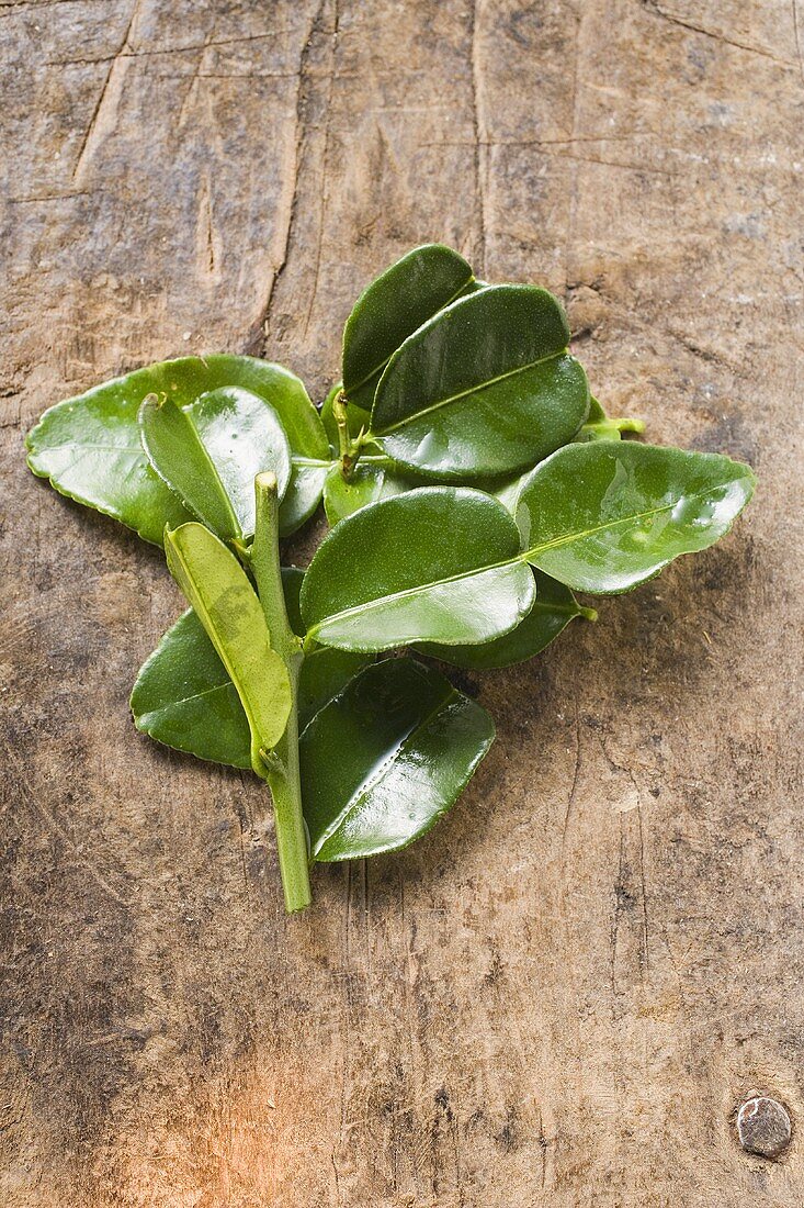 Fresh lemon leaves