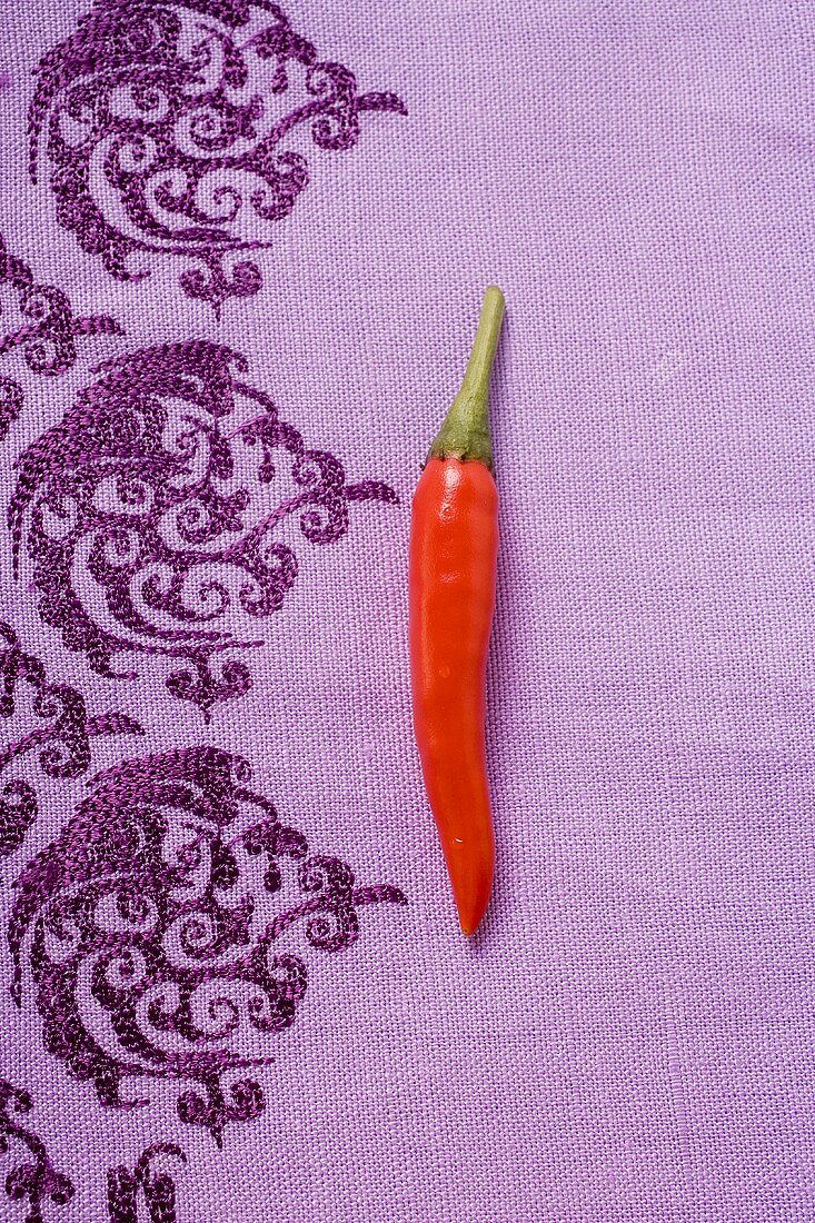 Eine rote Chilischote auf violettem Tuch