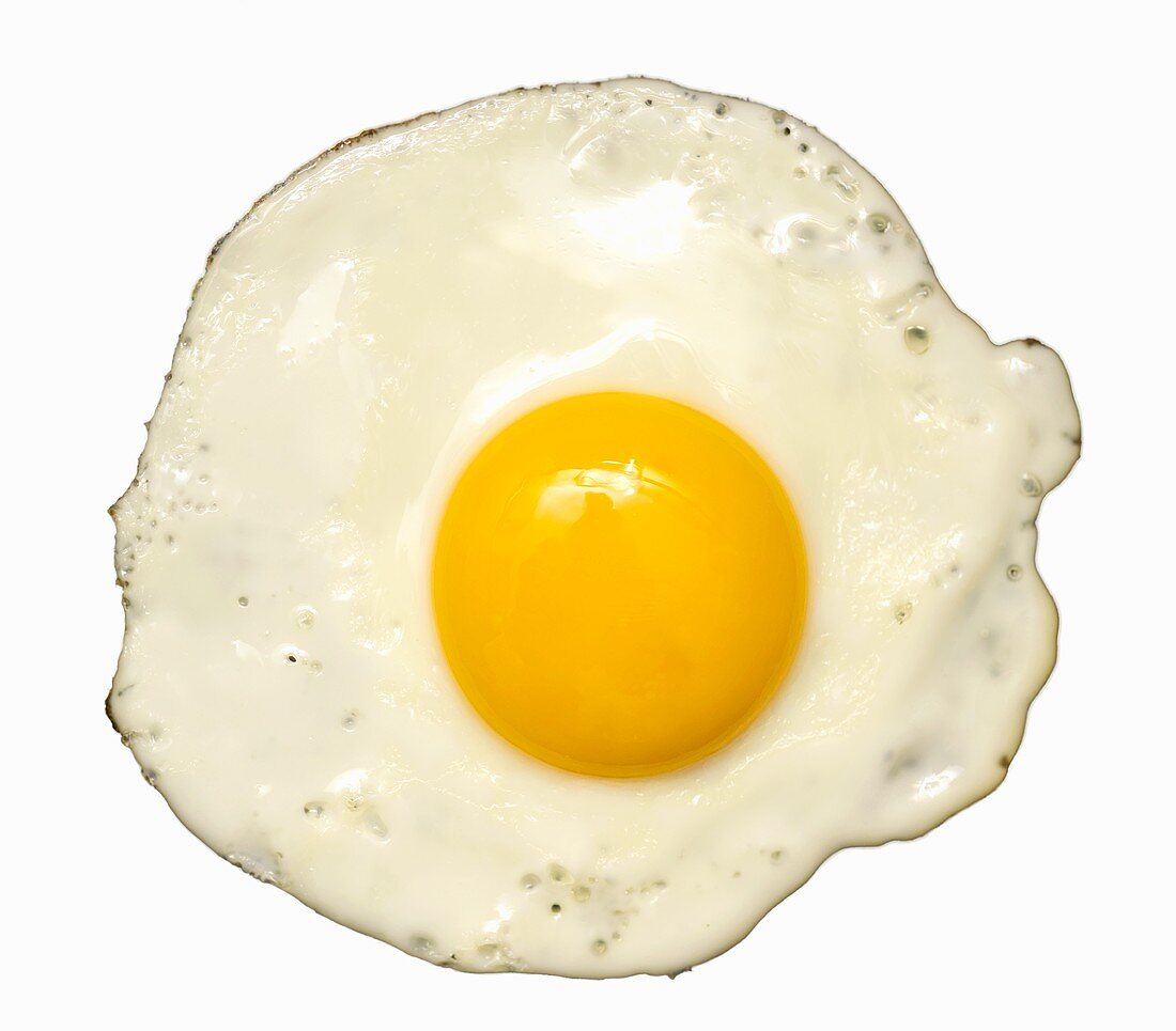 A fried egg