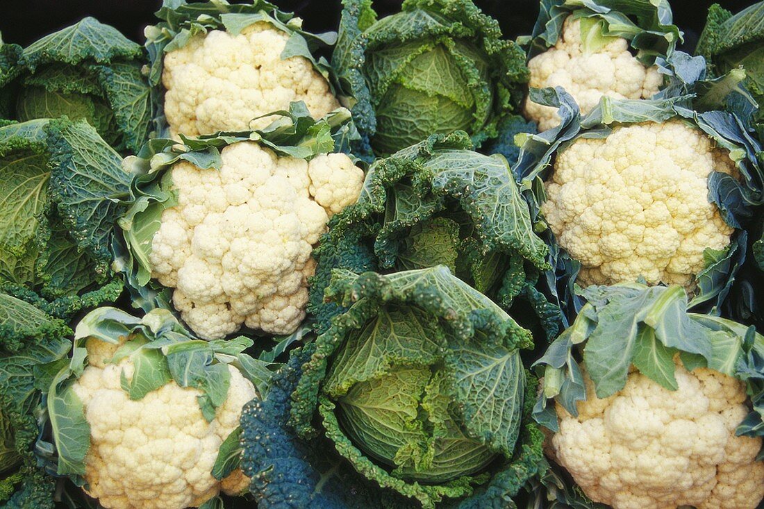 Savoy and cauliflower (filling the picture)