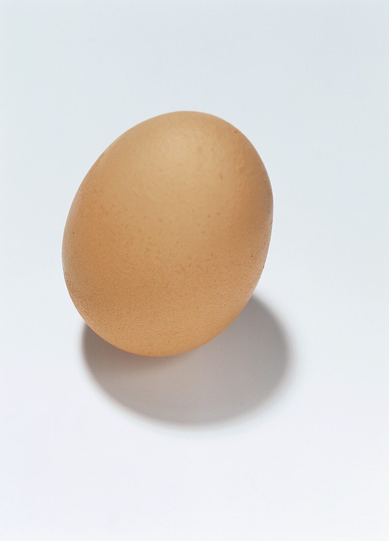 A Single Brown Egg