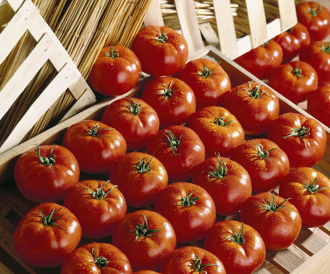 Tomatoes with drops of water