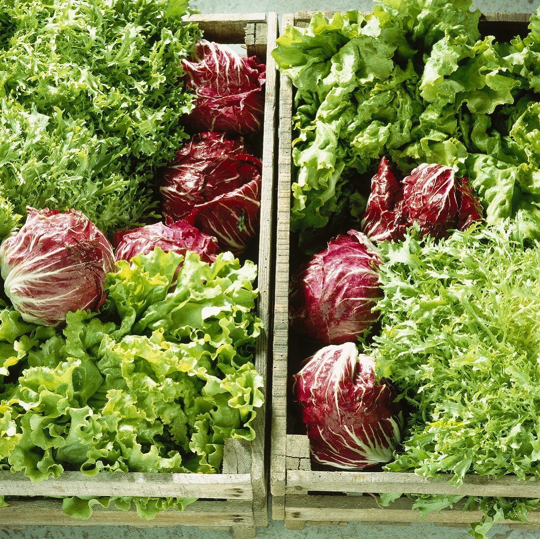 Lettuces in two crates
