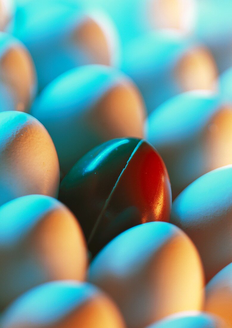 A chocolate egg among white eggs (filling the picture)