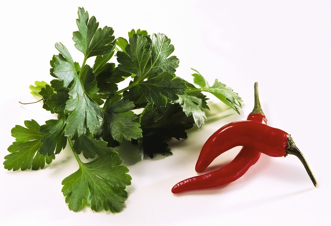 Parsley and two chilli peppers