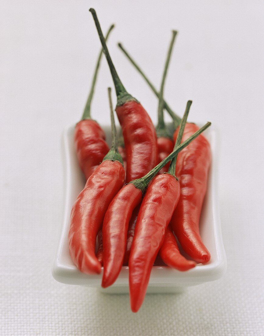 Several Red Chili Peppers