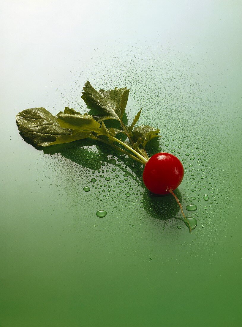 Radishes on green background; drops of water