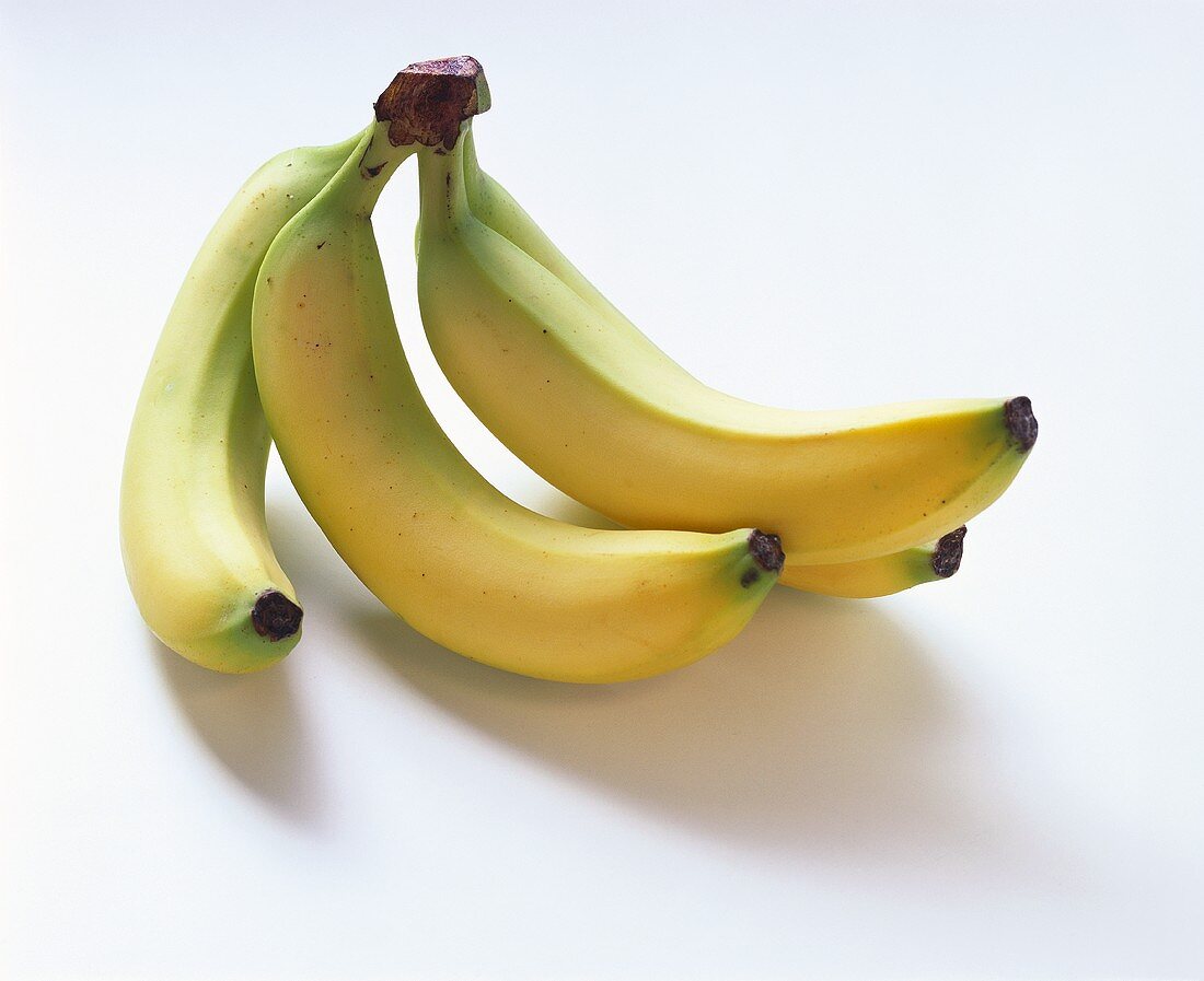 Kleine Bananenstaude (vier Bananen)