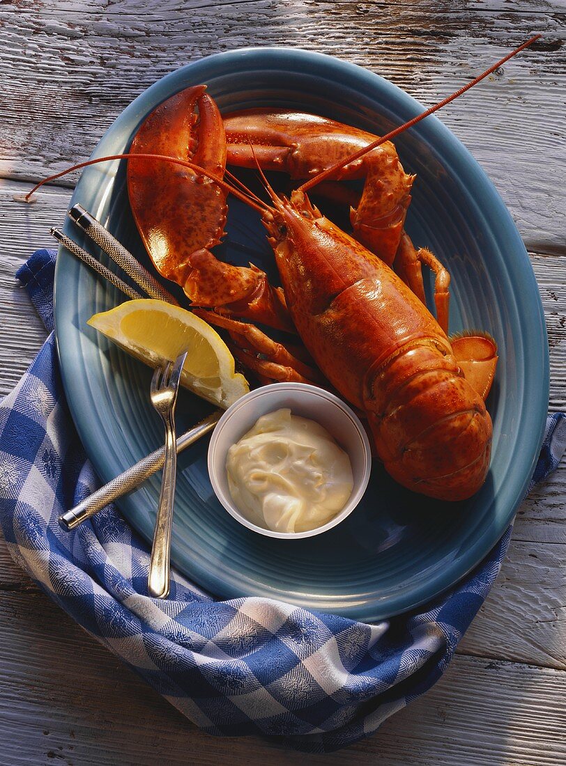Boiled Lobster with Mayonnaise
